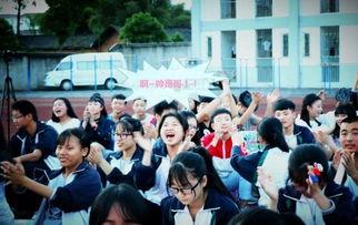 和阳中学爆料事件最新,真相揭开,校园风波再起
